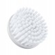 Brosses Braun Face Edition Bonus SE80-m (Pack de 4)