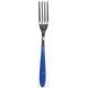 Pack 2 Fourchette de table bleu Master