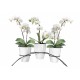 Coffret 3 pots Eria 13 cm Blanc Arche Z227397PG001