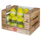 Range citron display 26 wood,00182