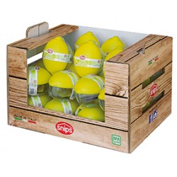 Range citron display 26 wood,00182