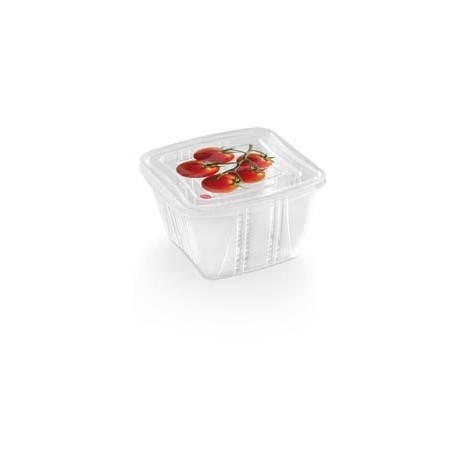 3 Container carré 1L,55005